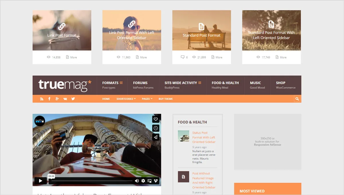 40+ Creative and AdSense Optimized WordPress Themes