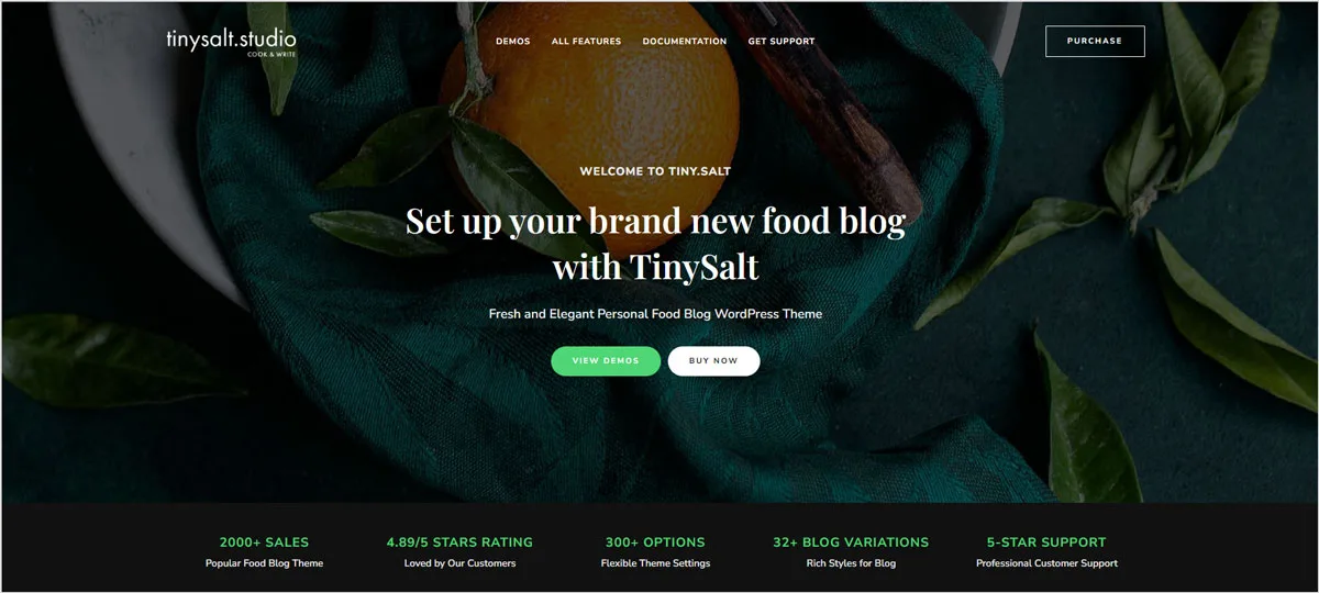 40+ Creative and AdSense Optimized WordPress Themes