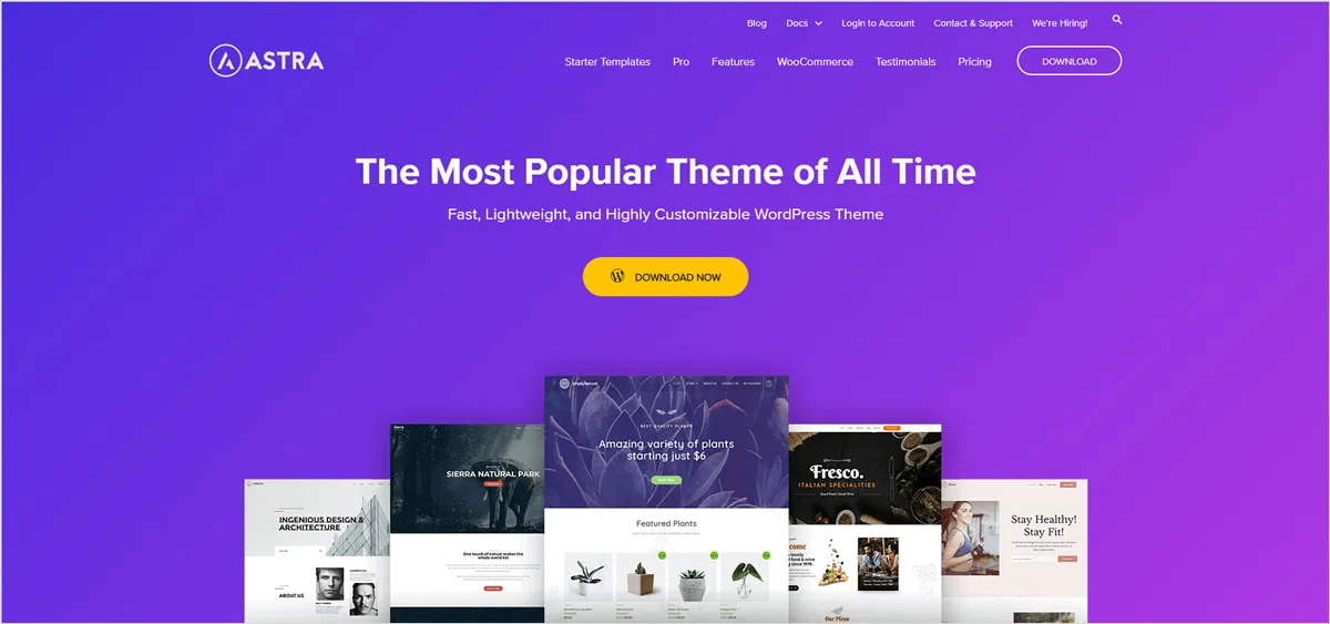 40+ Creative and AdSense Optimized WordPress Themes