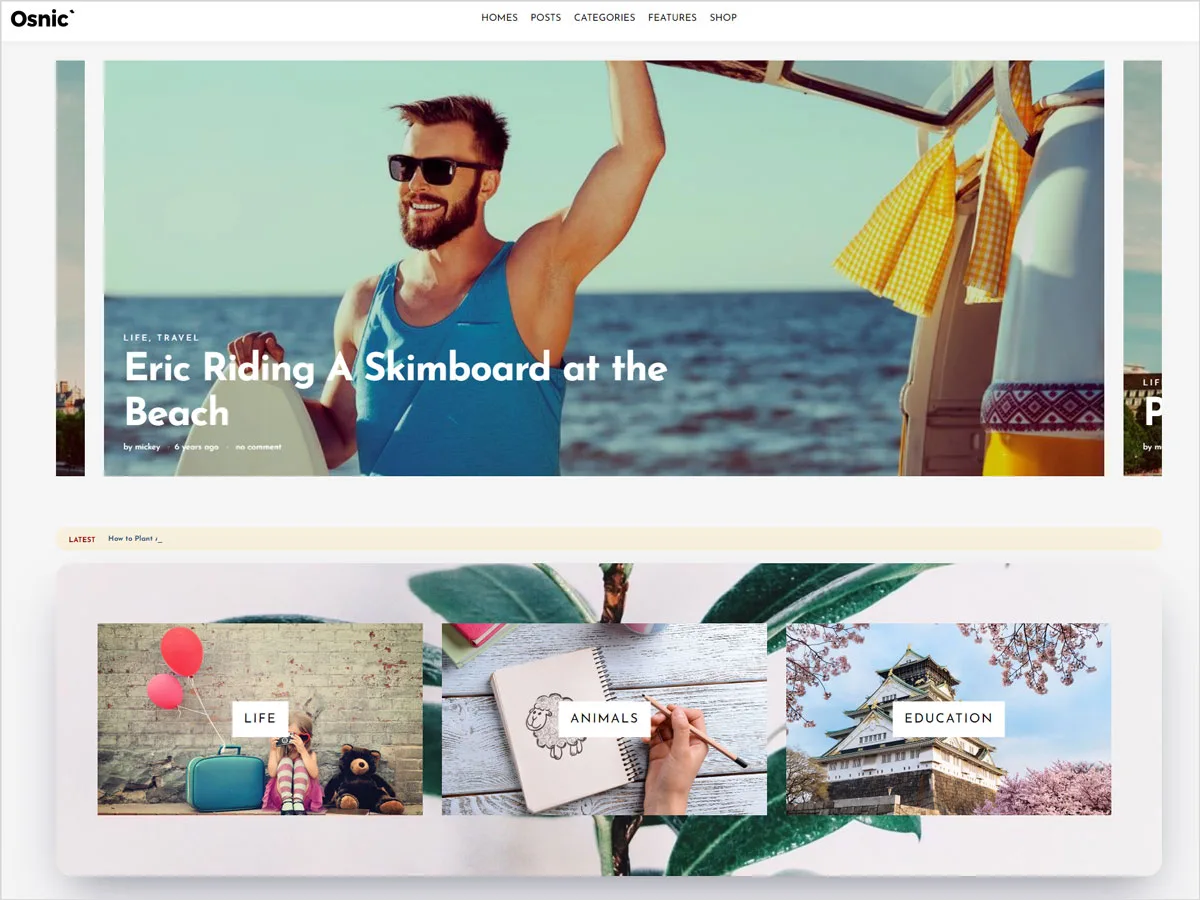 Adsense Optimized WordPress Themes
