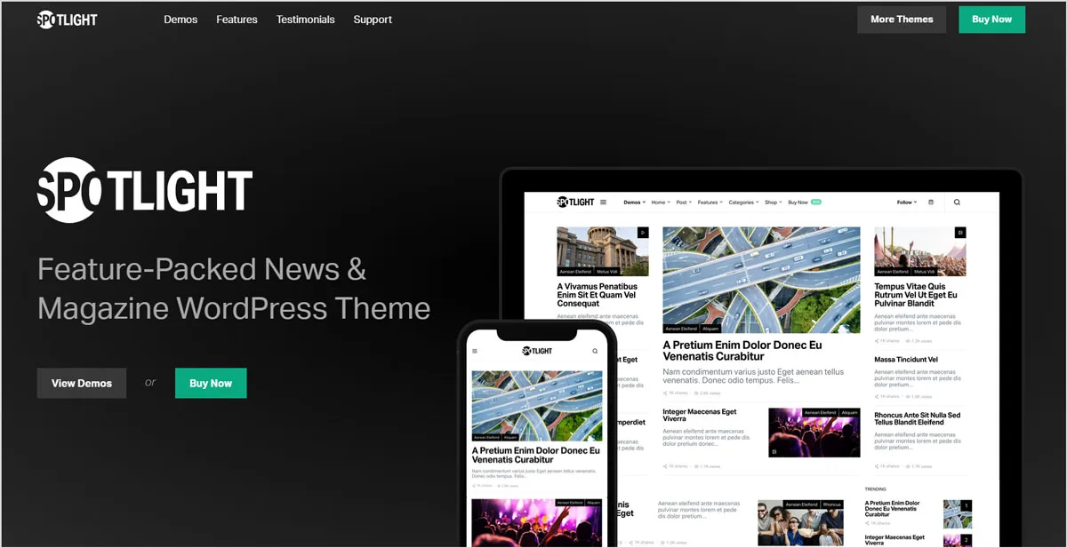 40+ Creative and AdSense Optimized WordPress Themes