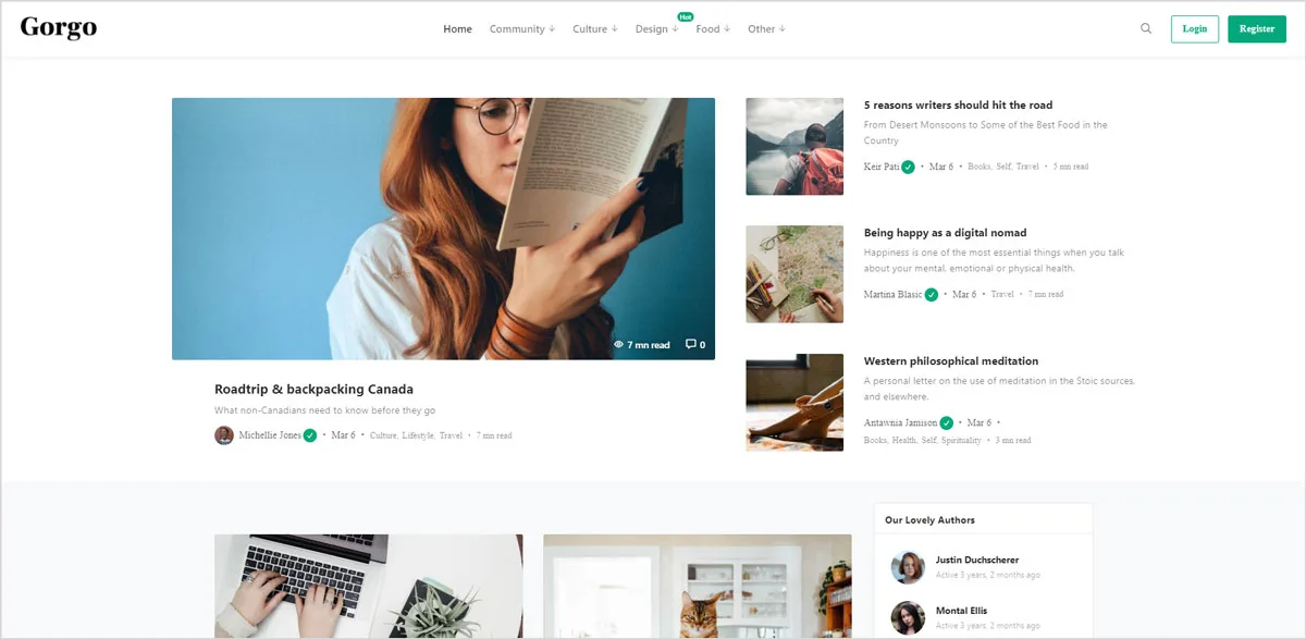 40+ Creative and AdSense Optimized WordPress Themes