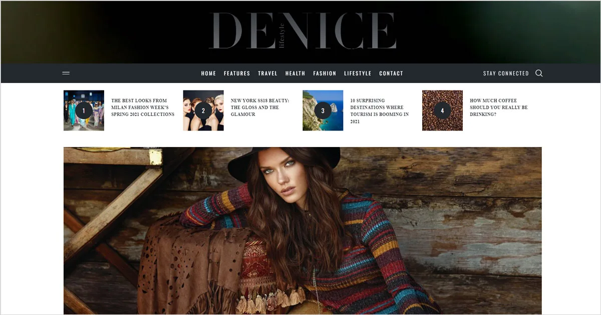 40+ Creative and AdSense Optimized WordPress Themes