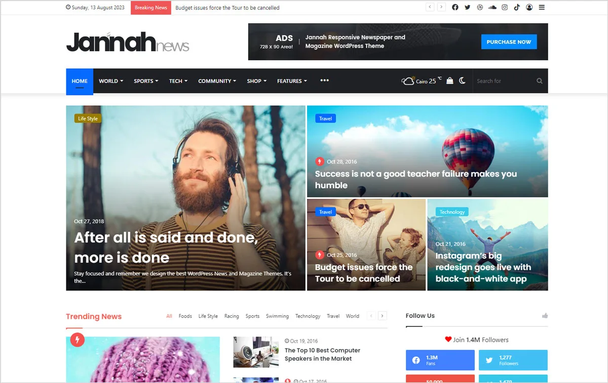 40+ Creative and AdSense Optimized WordPress Themes