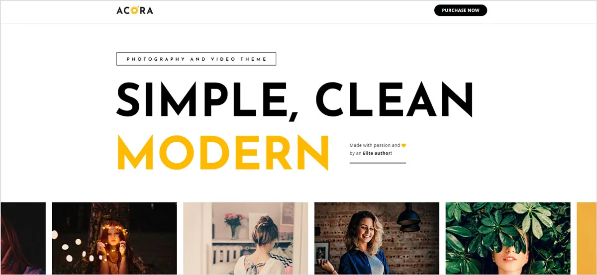 40+ Creative and AdSense Optimized WordPress Themes