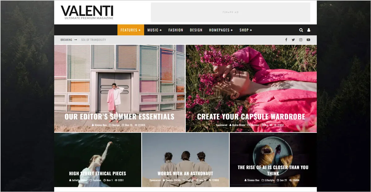 40+ Creative and AdSense Optimized WordPress Themes