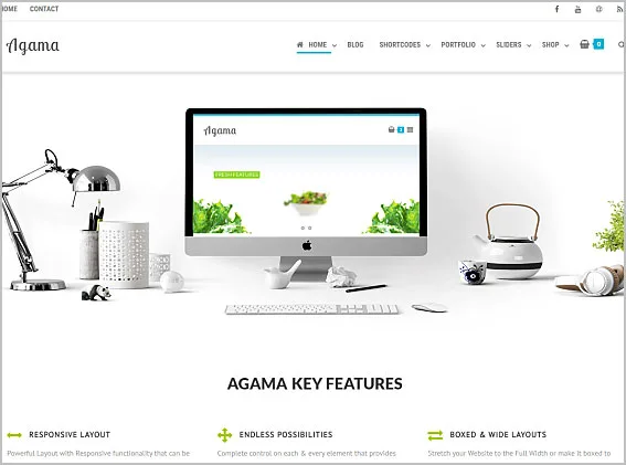 Best Free WordPress Themes