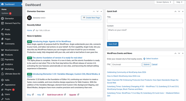Log in to your WordPress Dashboard