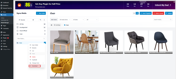 download WordPress images