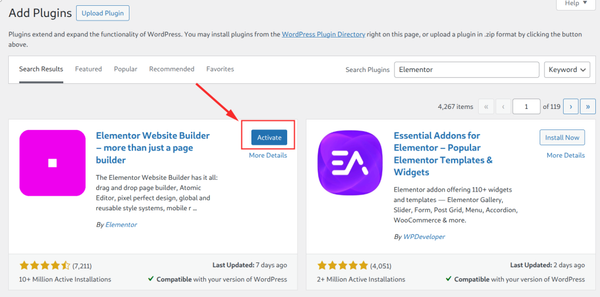 WordPress plugin activation interface screenshot