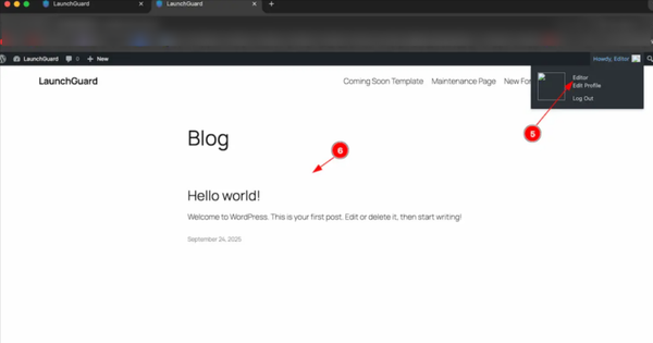 Blog interface with post details