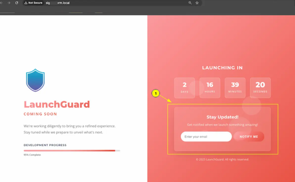 Website launch countdown and notification form