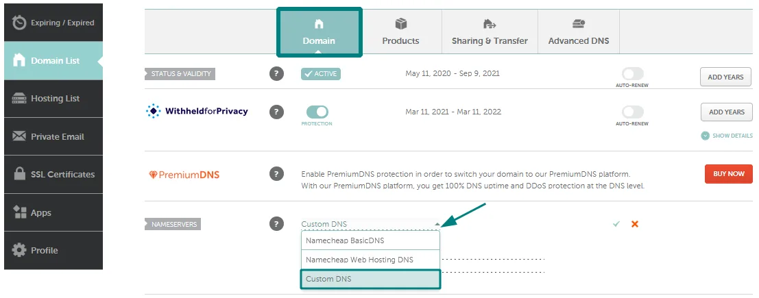 Nameservers dropdown set to Custom DNS in a registrar panel
