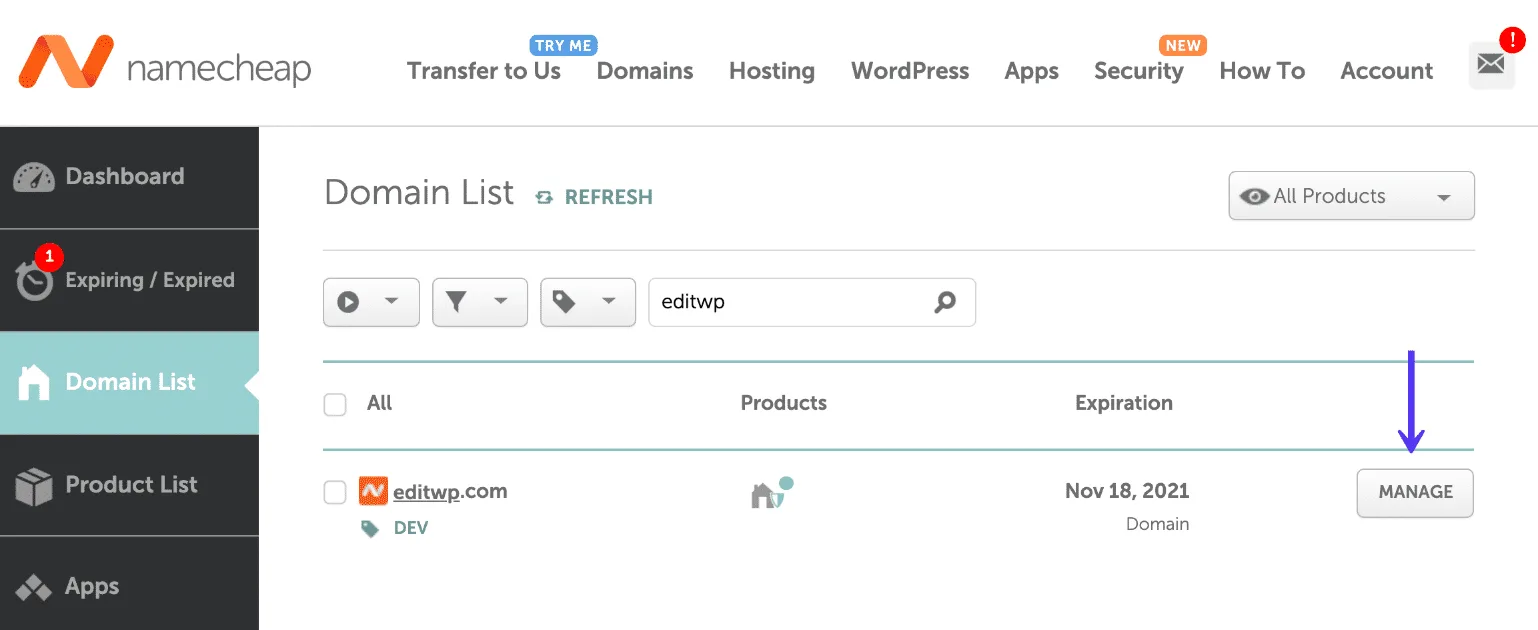 A registered domain shown inside a registrar account dashboard