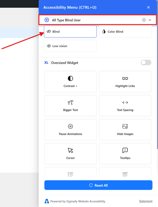 choose a profile based on their hearing impairment by pressing the accessible button on the front of the website