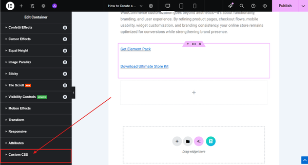 Custom CSS