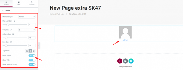 BuddyPress Member widget layout