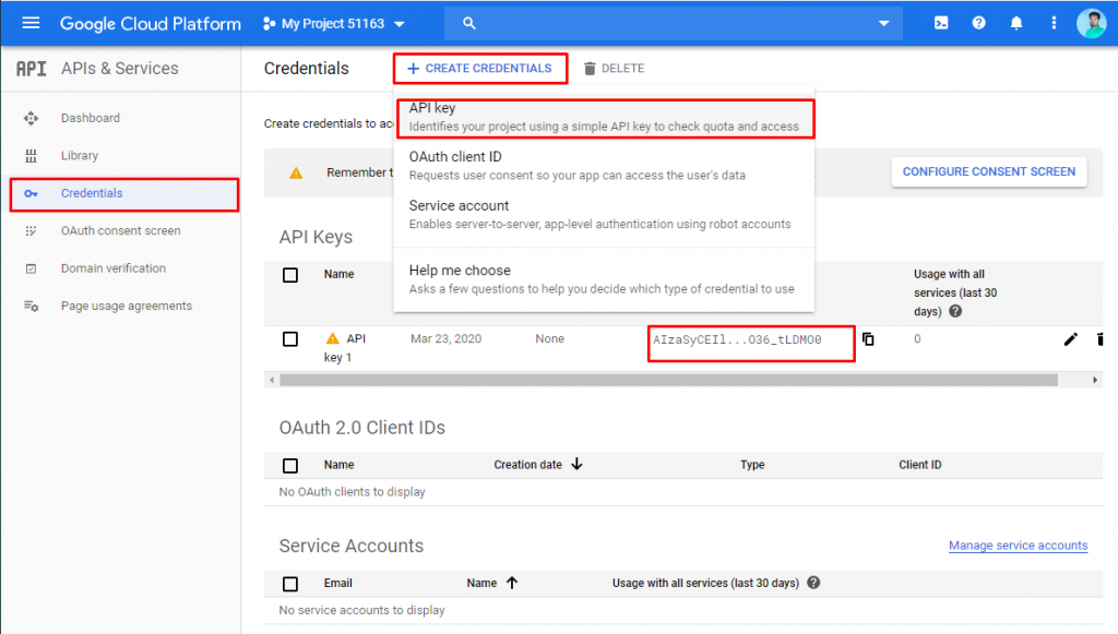 fetch api key for the Elementor Google Reviews Widget