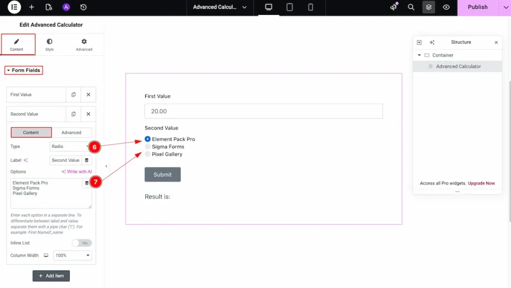 Form Fields Radio type - BdThemes
