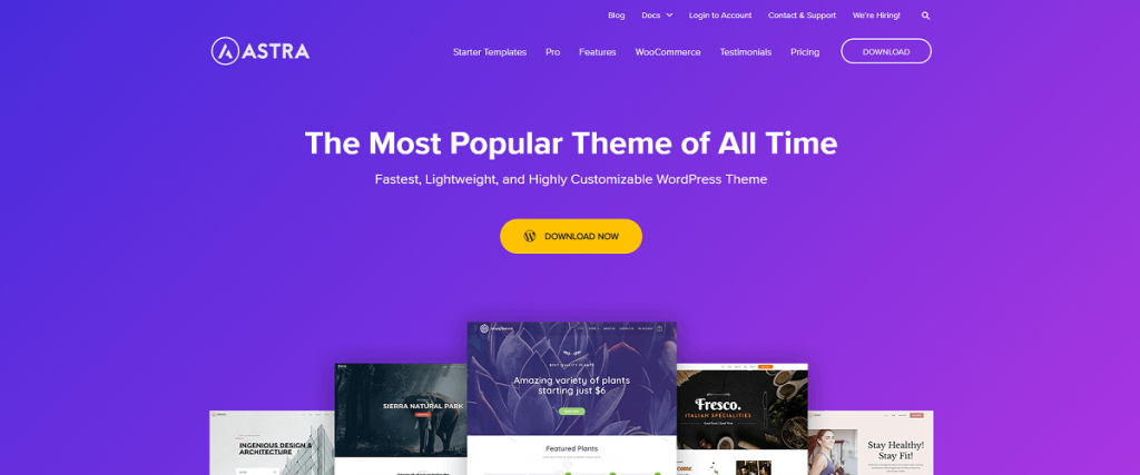 best theme for elementor page builder