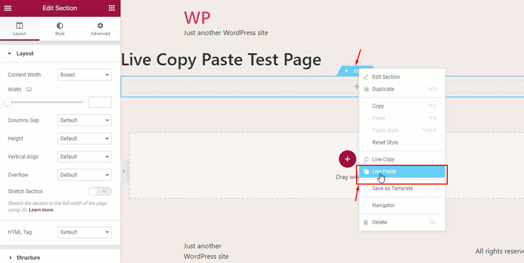 Live Paste copied web design in the other domain