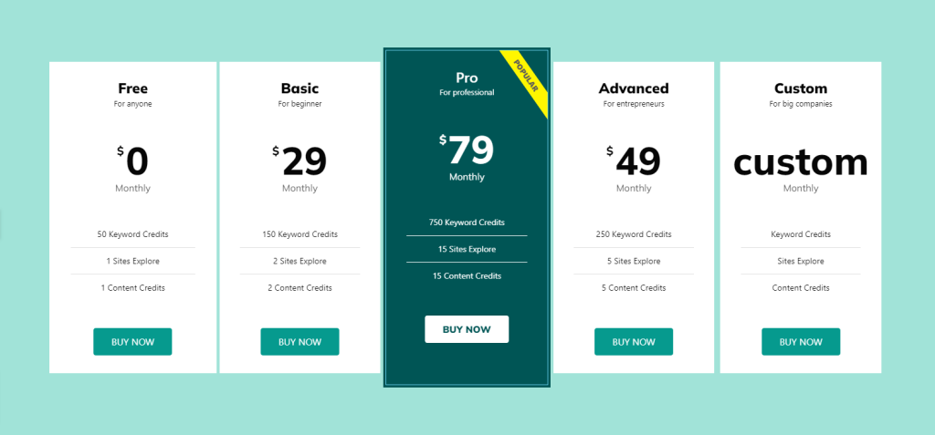 The Single Focus Pricing Table Template - BdThemes