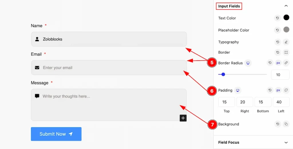 input fields 2 - BdThemes