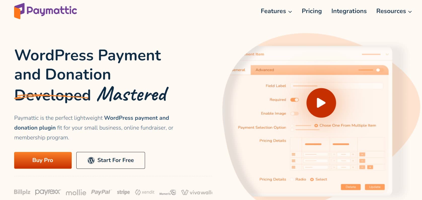 Paymattic wordpress payment and donation plugin 1 - BdThemes