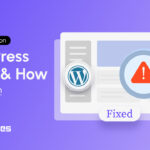 5 most Common WordPress Errors and how to fix them in 2024