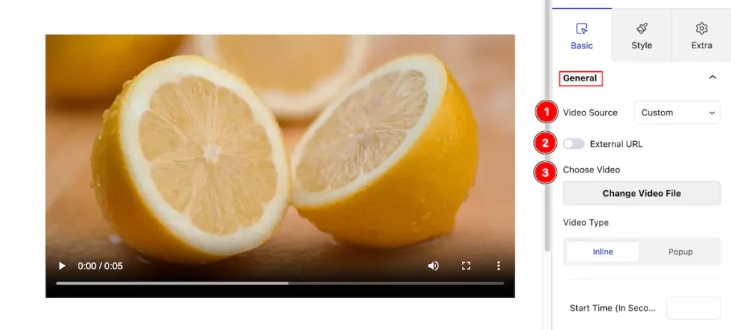 How To Use The Video Block By Zoloblocks 9 general video source custom local file - BdThemes