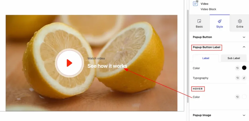 How To Use The Video Block By Zoloblocks 20 popup button label hover - BdThemes