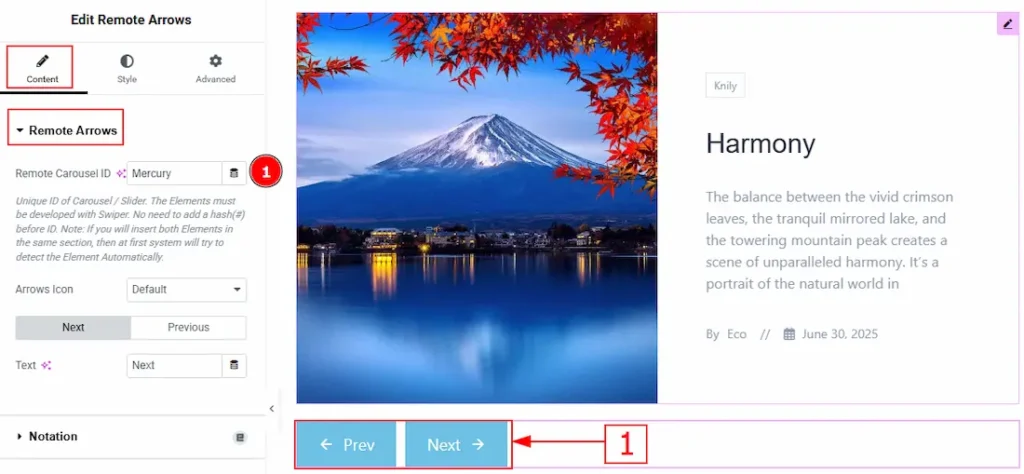 Set CSS ID for the Widget