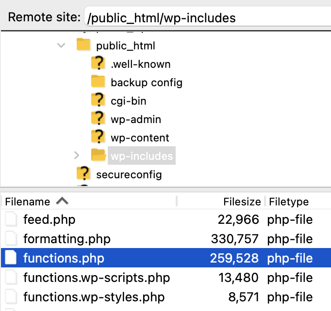 C panel >> File Manager of your hosting provider.