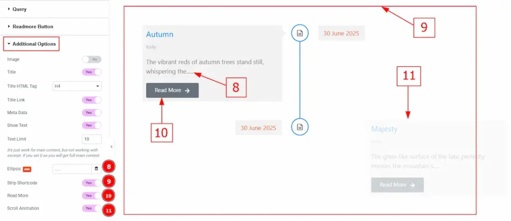 Additional Options 03 - BdThemes