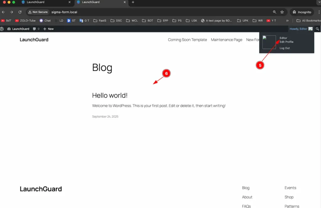 Editor Profile 3 - BdThemes