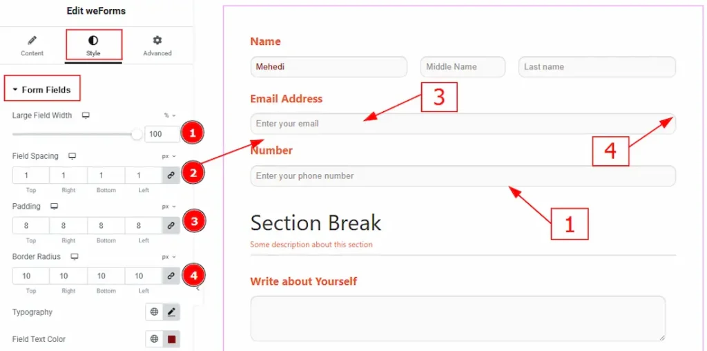 Form Fileds 01 - BdThemes