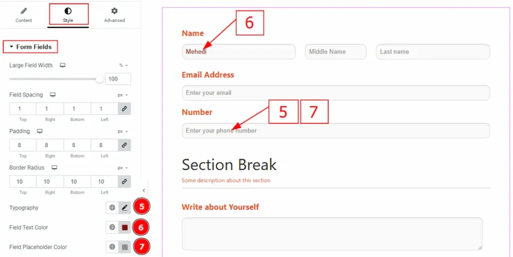 Form Fileds 02 - BdThemes