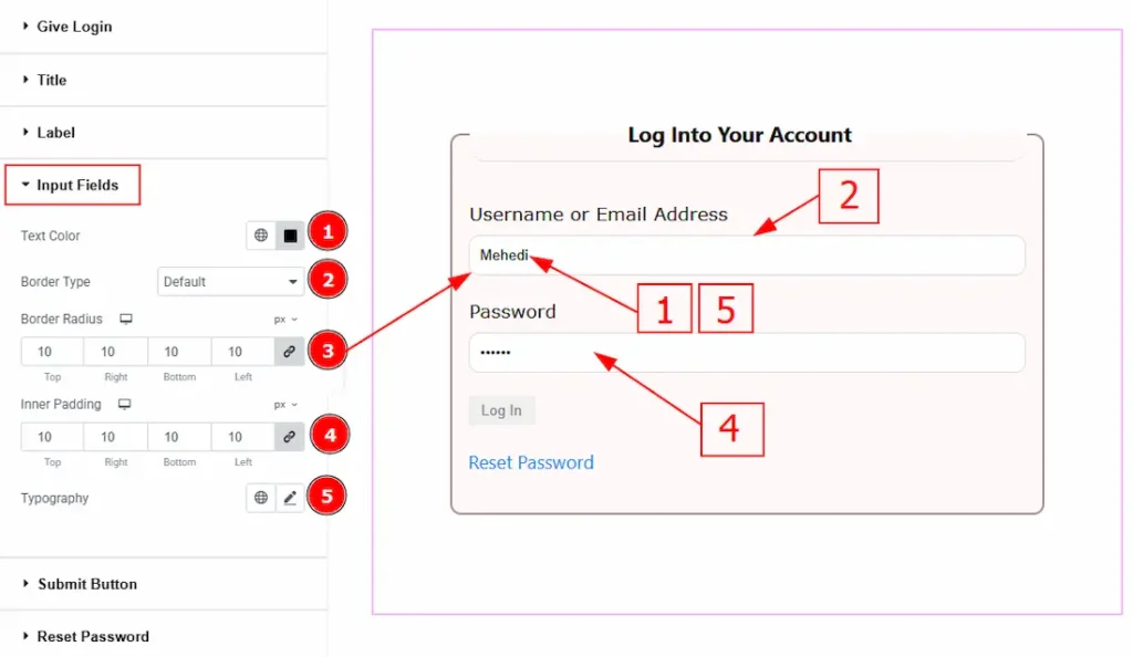 Input Fields - BdThemes
