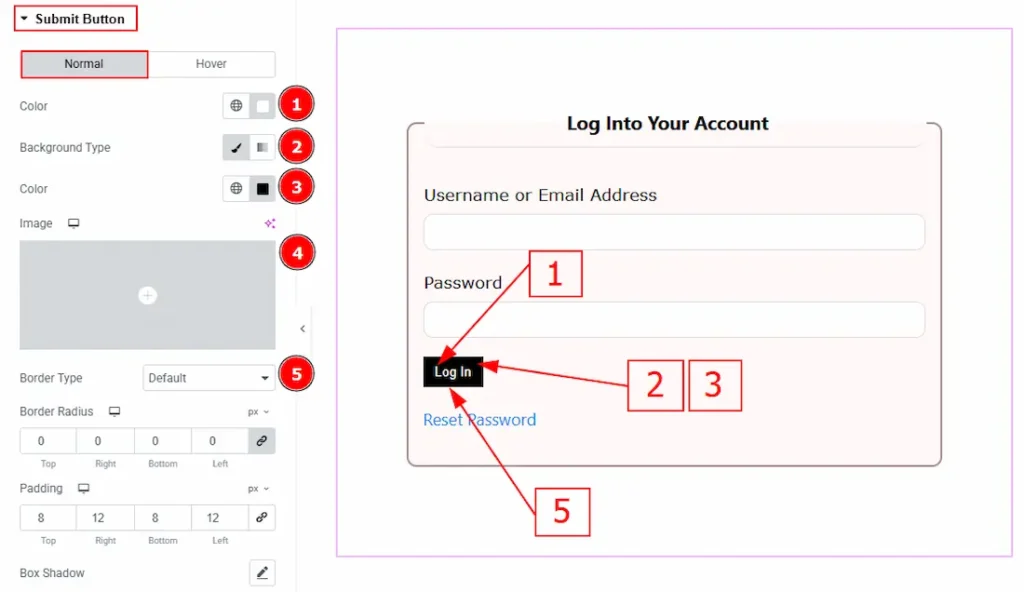 Submit Button Section