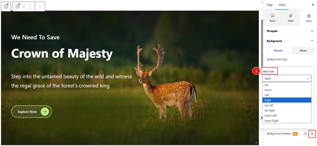 Let’s Explore the Text Animation Extension