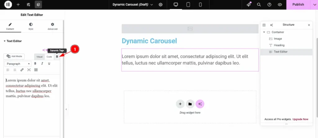 Dynamic Text Editor - BdThemes