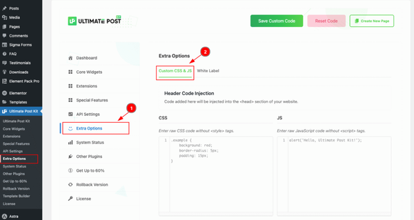 CUSTOM CSS AND JS