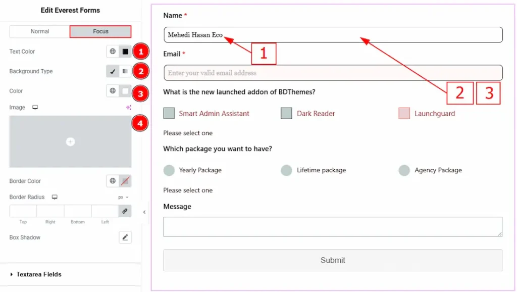Input FIelds Focus 01 - BdThemes