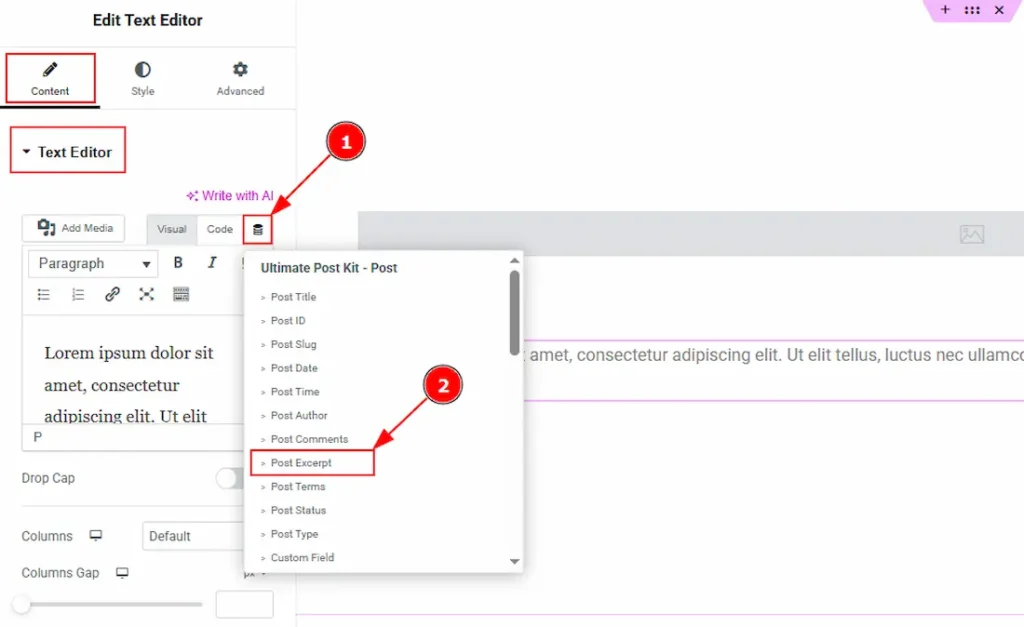 Customizing Text Editor Element