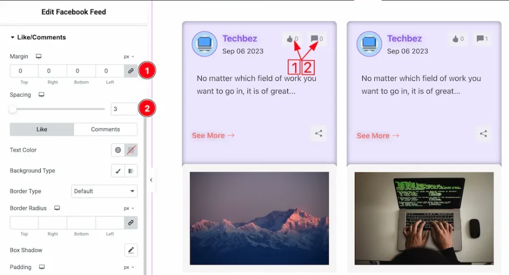 Like / Comments Section