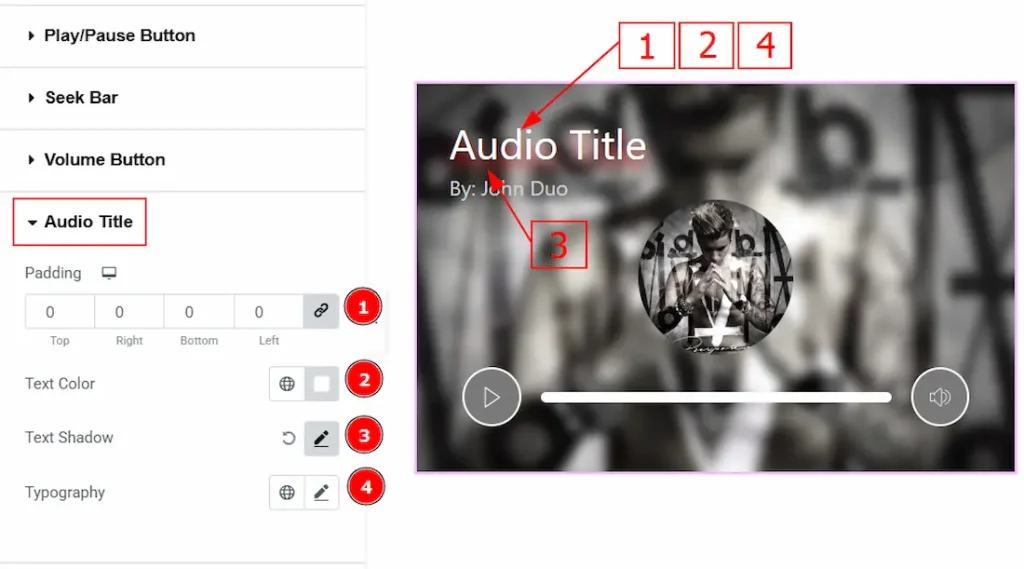 Audio Title Section