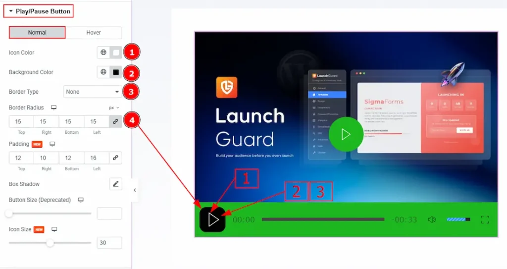 Play/Pause Button Section