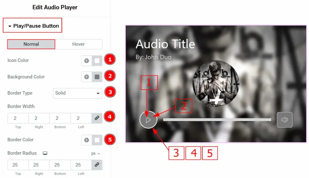 Play/Pause Button Section