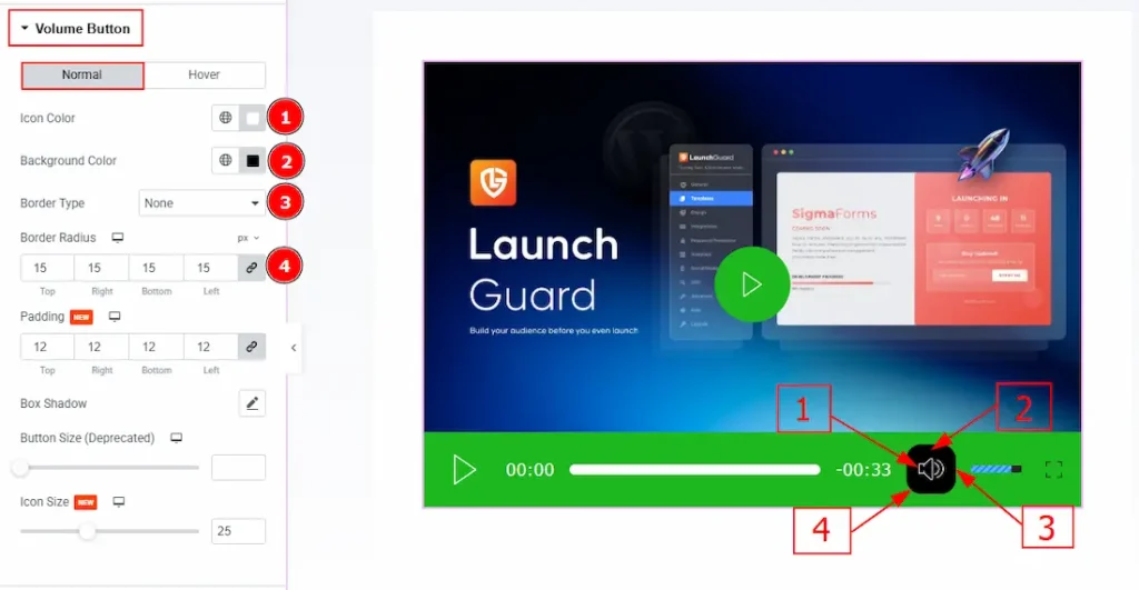 Volume Button Section