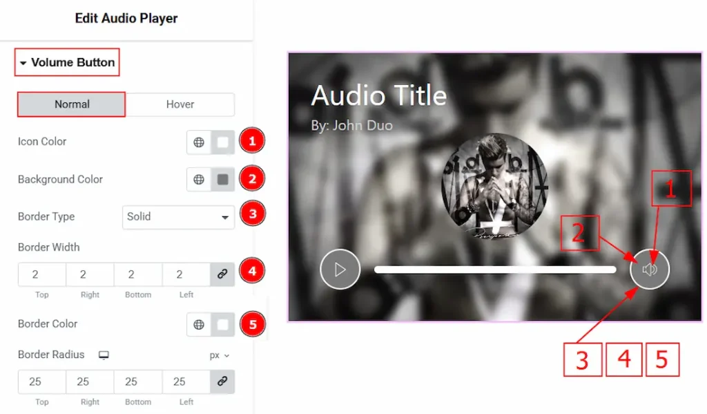 Volume Button Section
